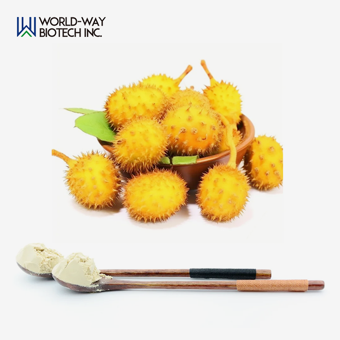 Cili Fruit Extract Powder Cili Fruit Extract Powder